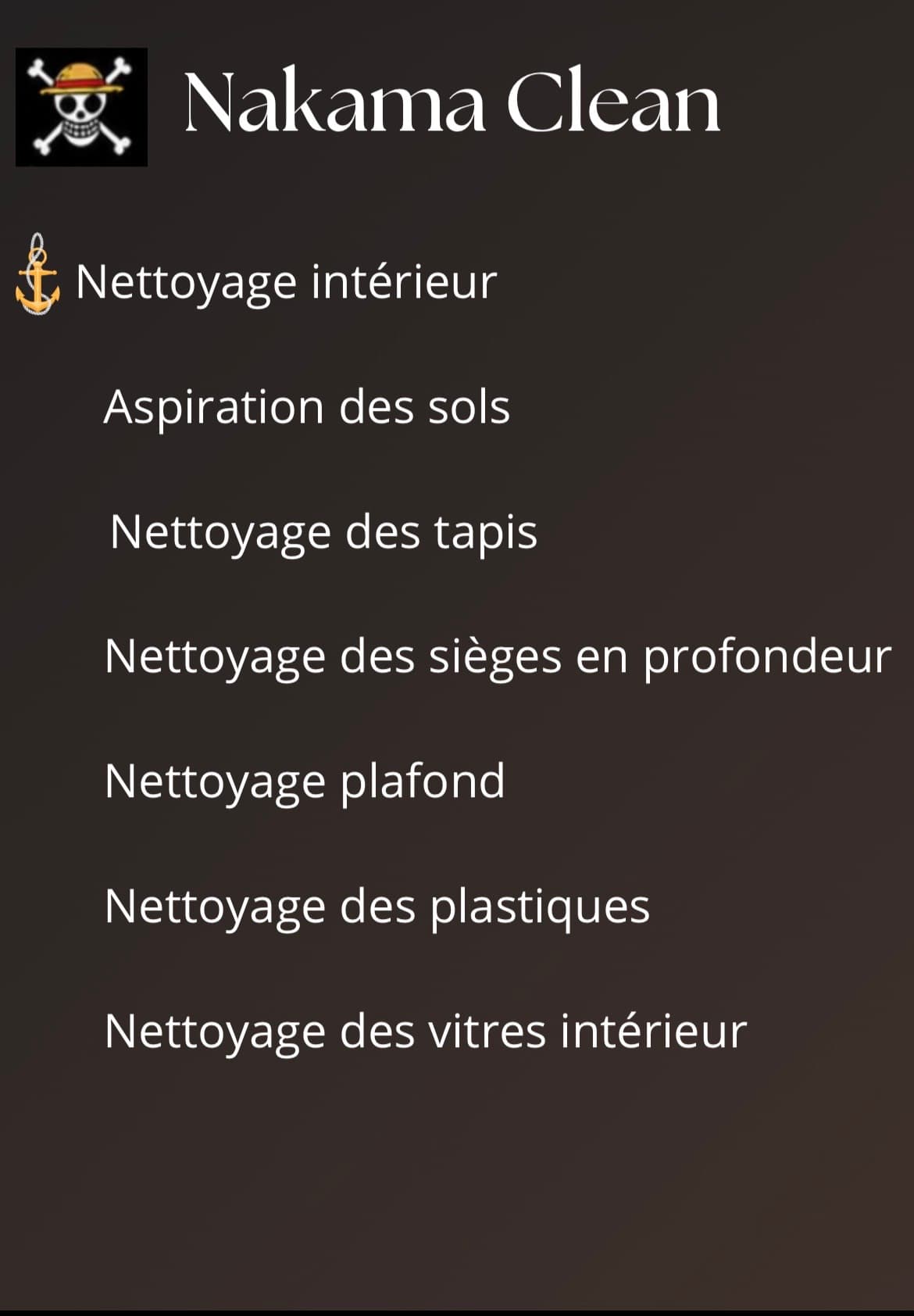 Garnerin maxime — nettoyage voiture Montluçon 4