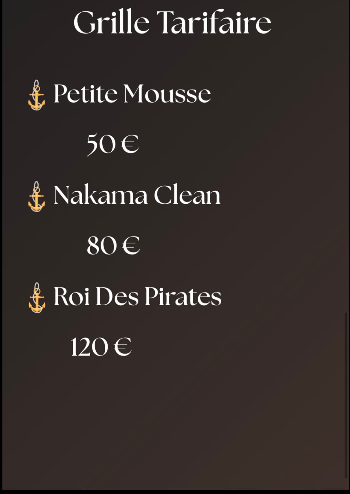 Garnerin maxime — nettoyage voiture Montluçon 6